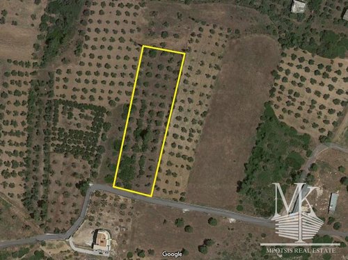 Land lot for Sale -  Sikamino Oropos