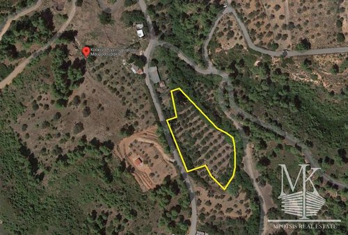 Land lot for Sale -  Markopoulo Oropos