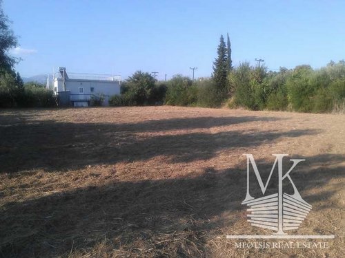 Plot for Sale -  Markopoulo Oropos