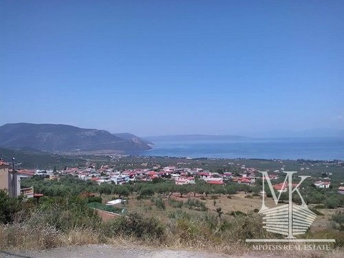 Land lot for Sale -  Evia Prerfecture